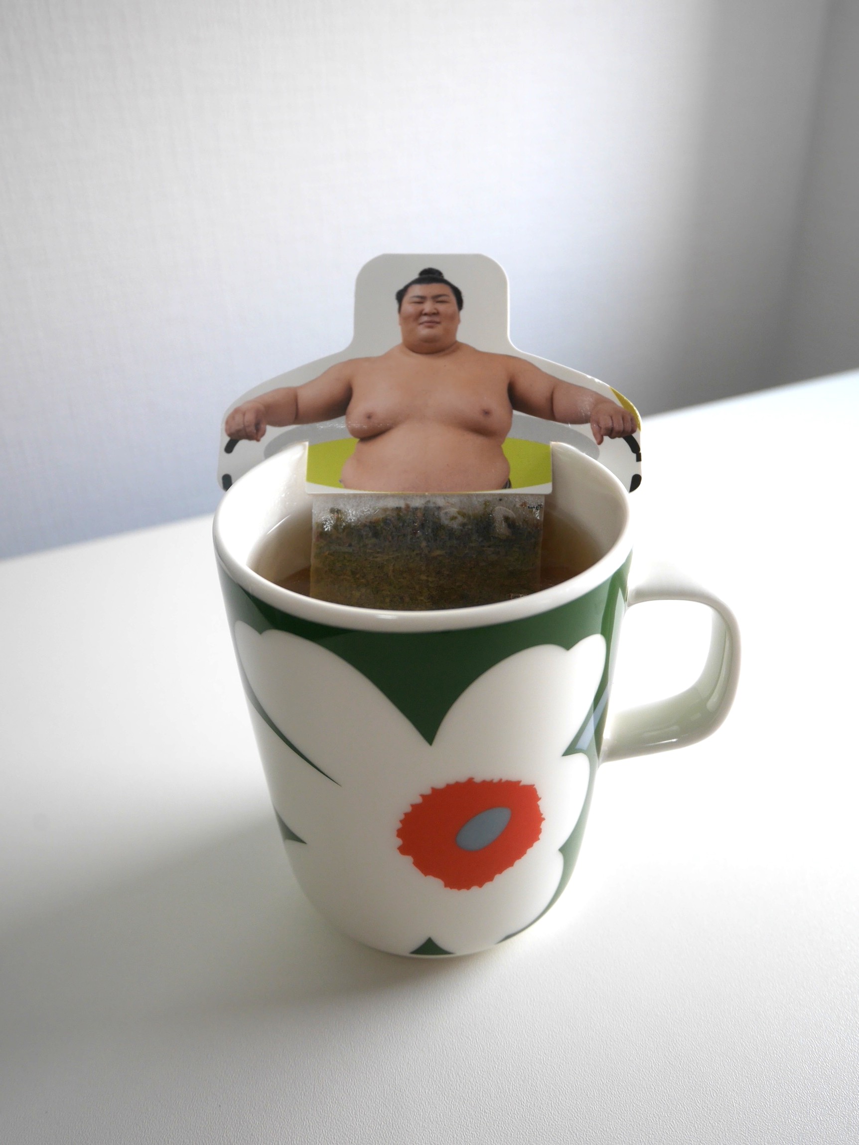 sumouwrestler